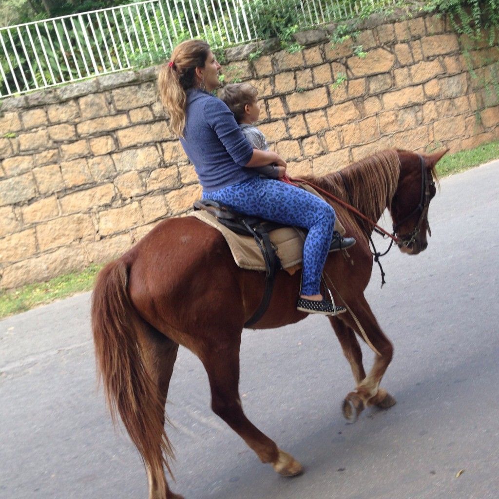 Cavalo com criança